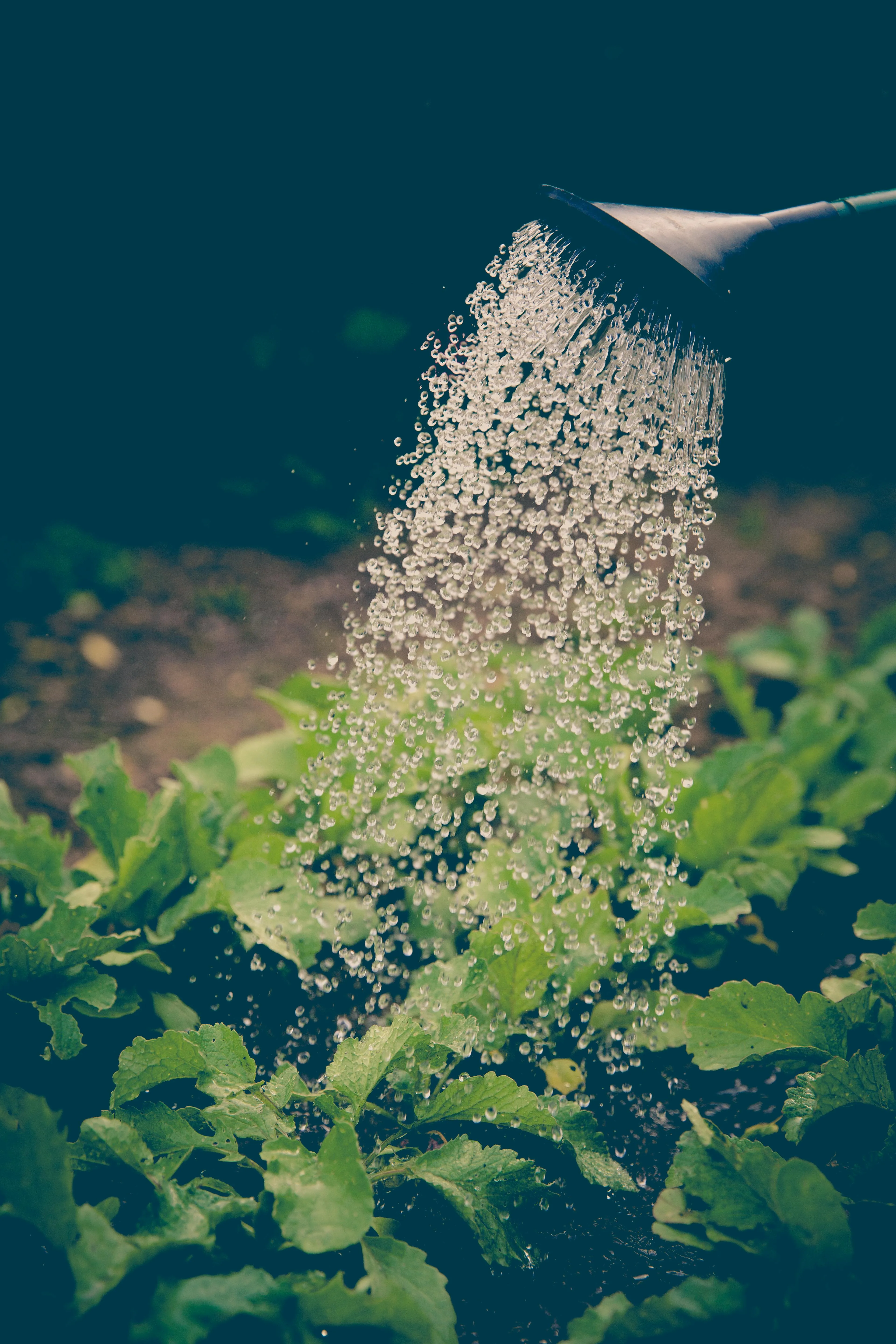 Markus Spiske on Pexels