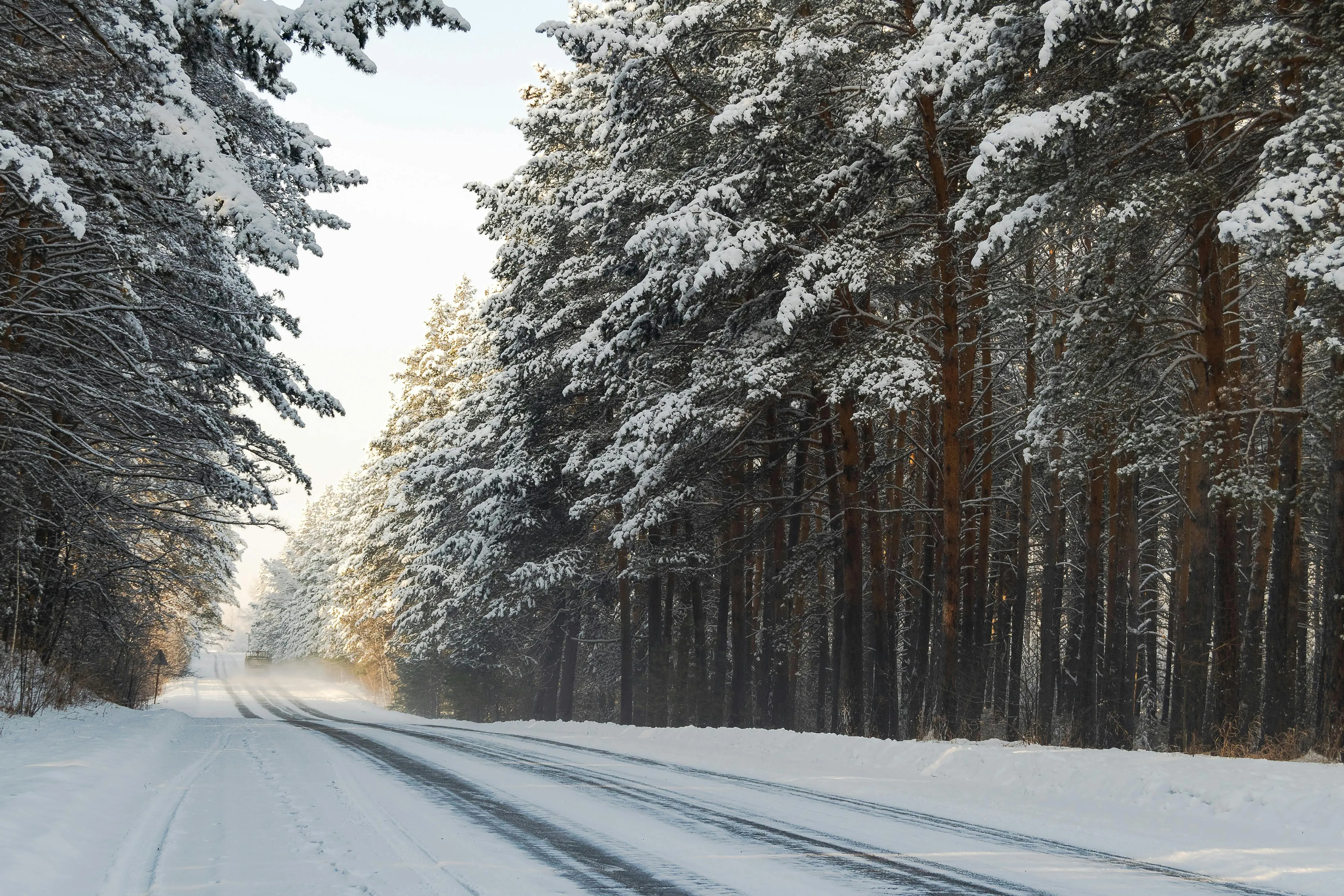 Aleksandr Gorlov on Pexels