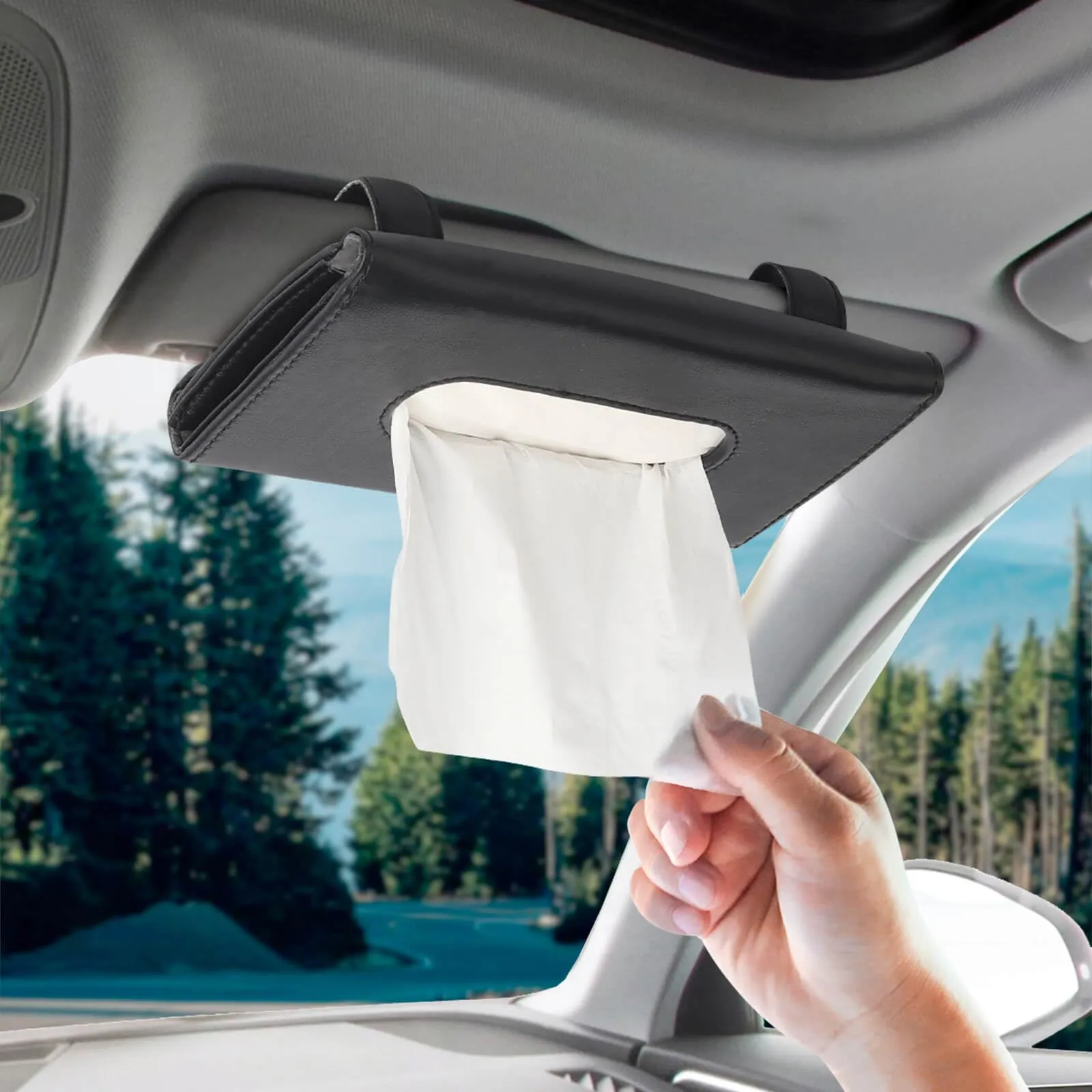 Image from Amazon.ca