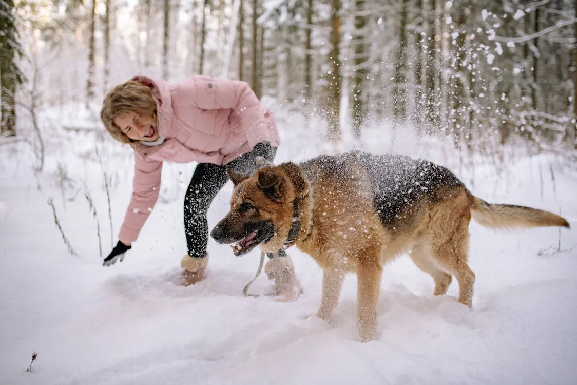 20 Ways to Keep Your Pets Happy During Winter