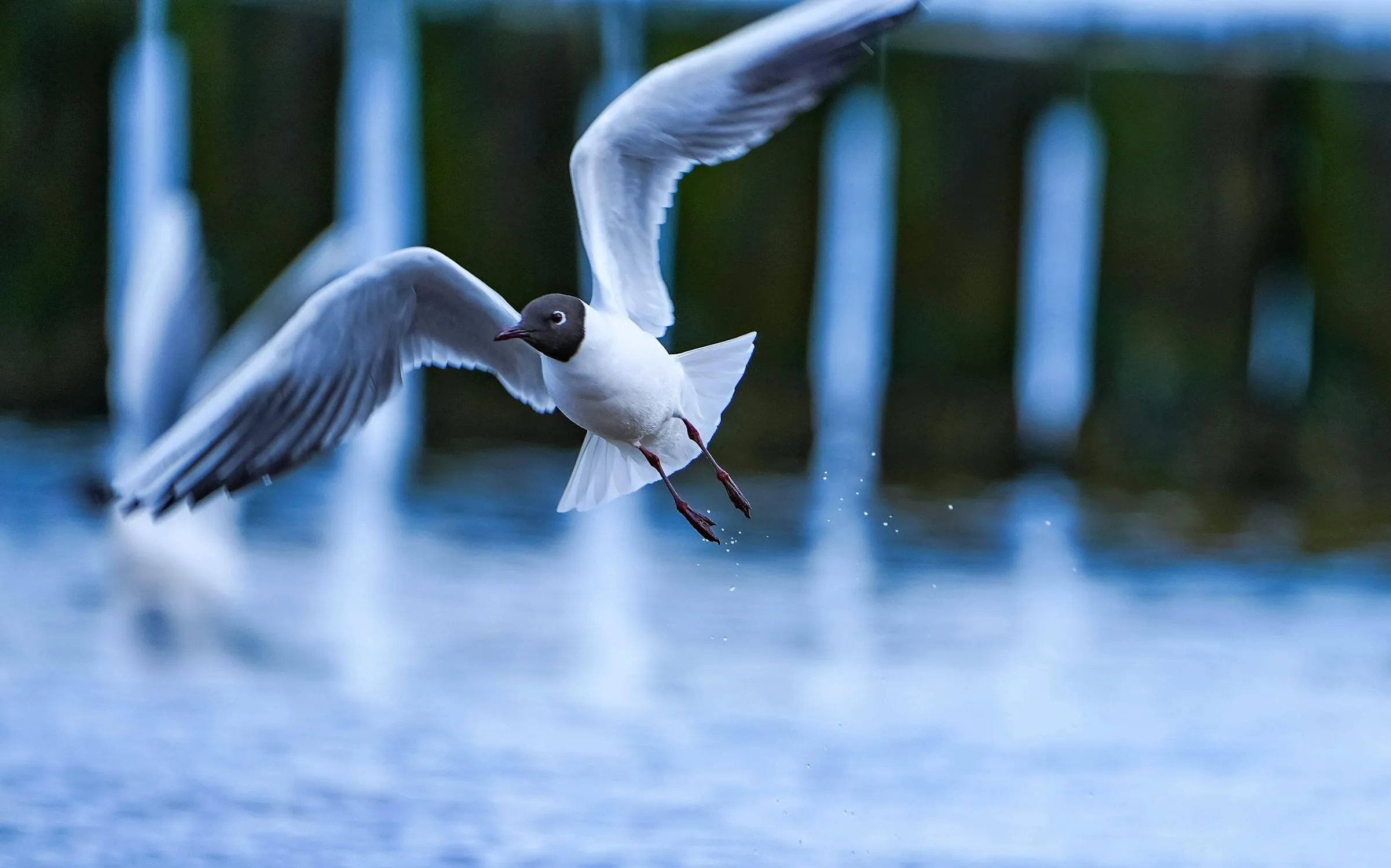 Patrick Schulze on Pexels