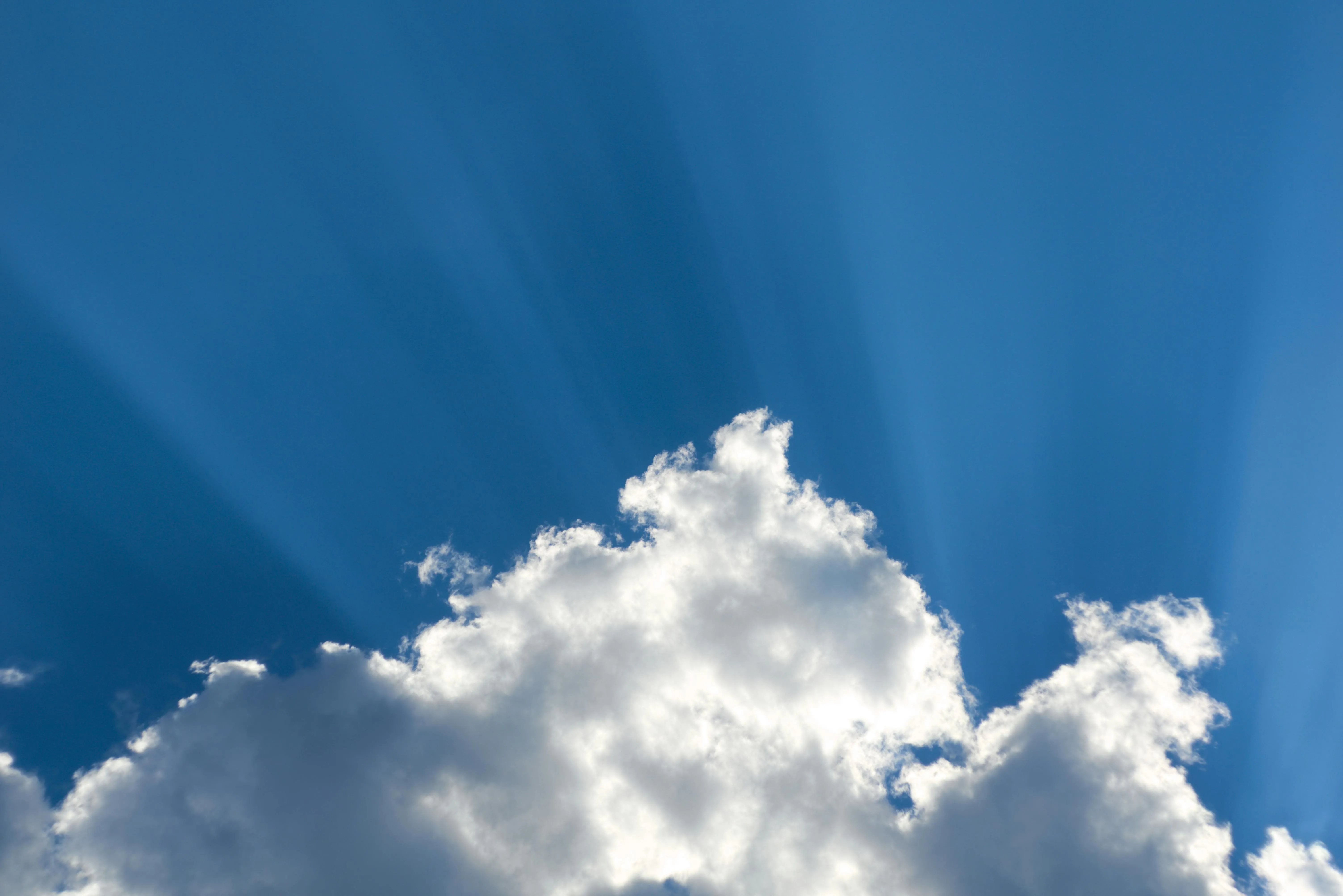 Андрей Архипов on Pexels