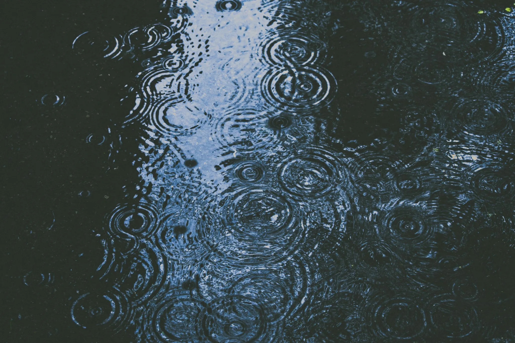  Alex Dukhanov from Unsplash 