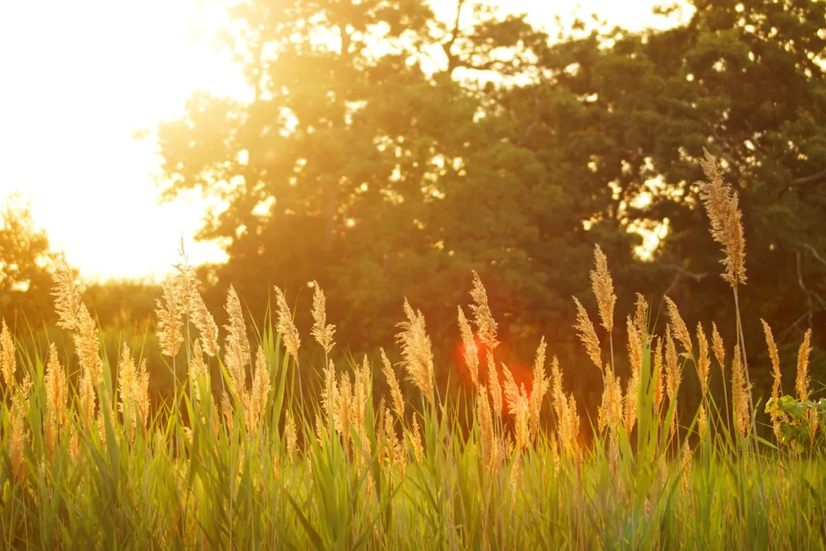 18 Ways People Prepared for Summer During Spring