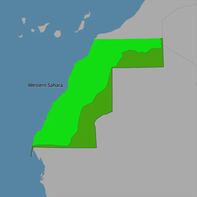 Sanjay Rao on wikimedia