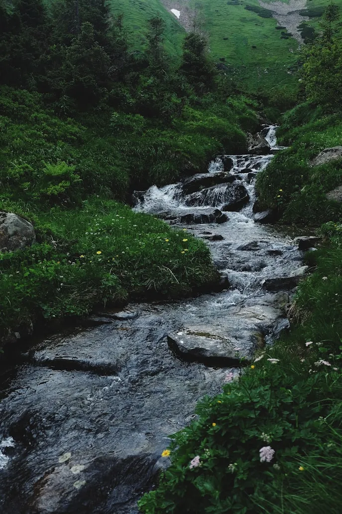 Oleksandra Bardash from Unsplash