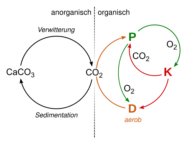 Sponk on Wikimedia Commons