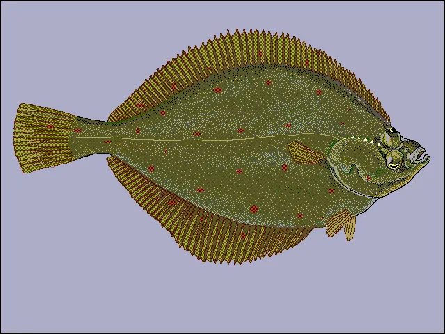 Public domain on wikimedia