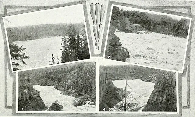 Wikimedia Commons