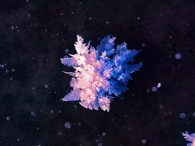 Great Sand Dunes National Park and Preserve on Wikimedia Commons