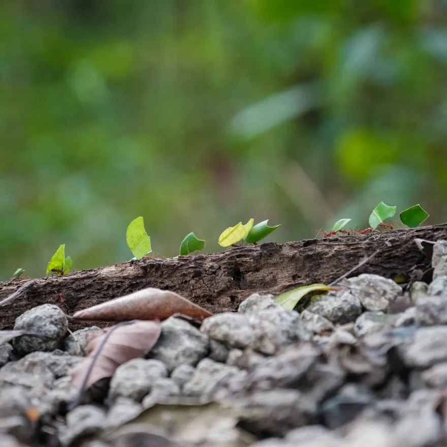 Christian Holzinger on Unsplash