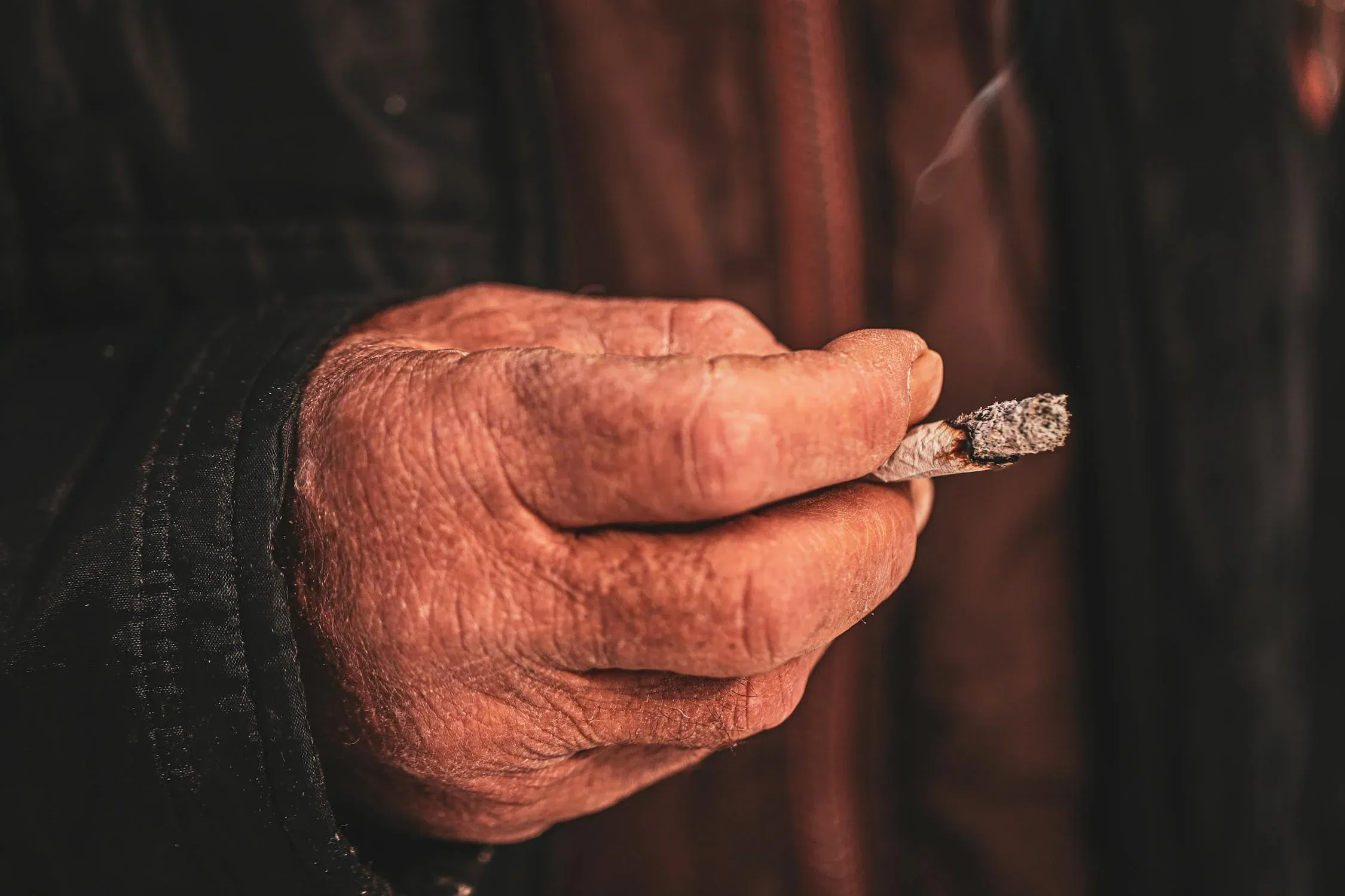  Furkan Işık on pexels