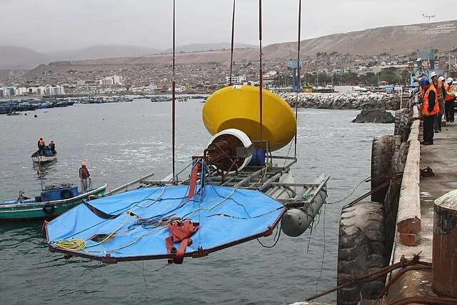 Chrisbioworld on Wikimedia Commons