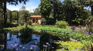 Image from Tripadvisor 