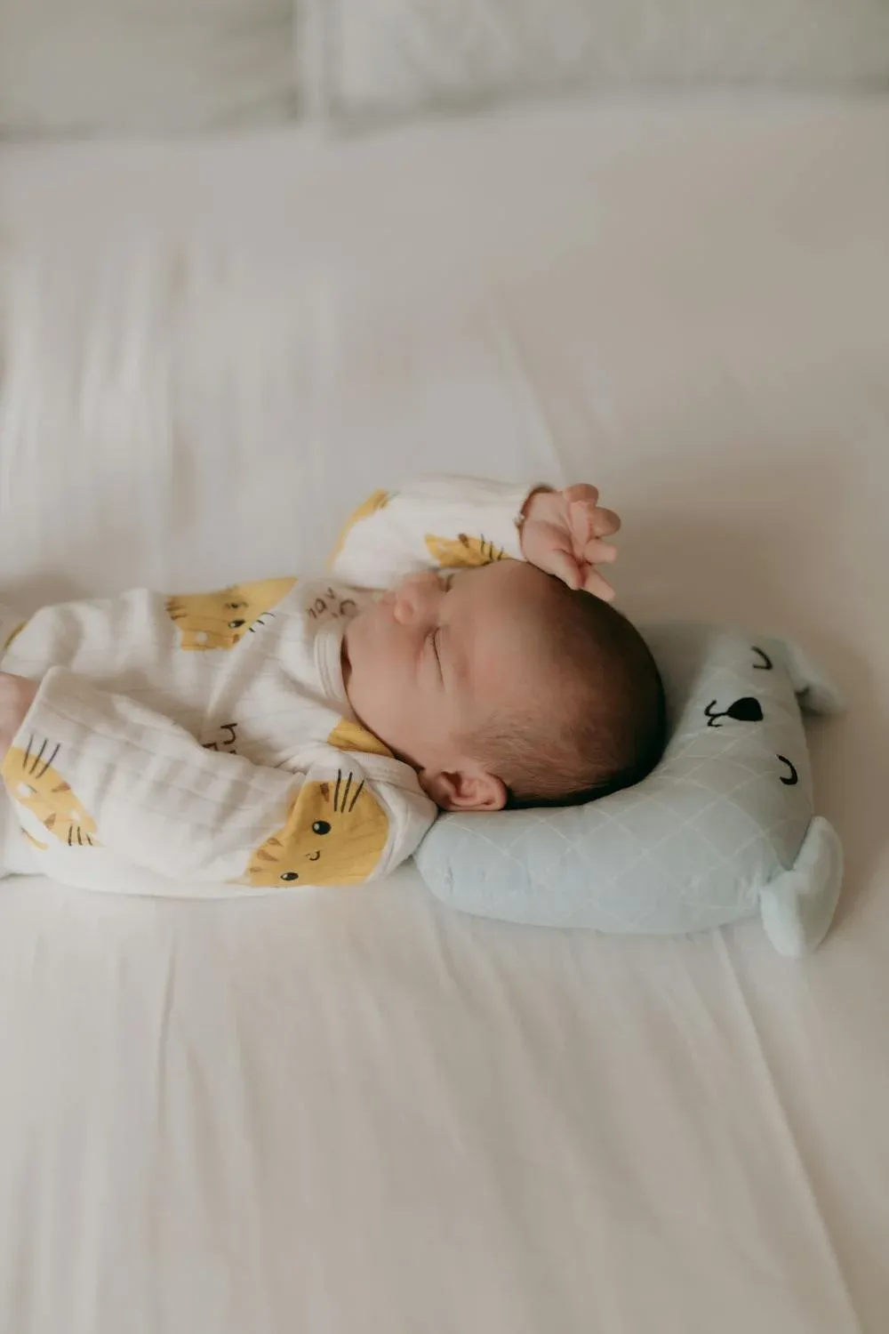 Alexander Mass on Pexels