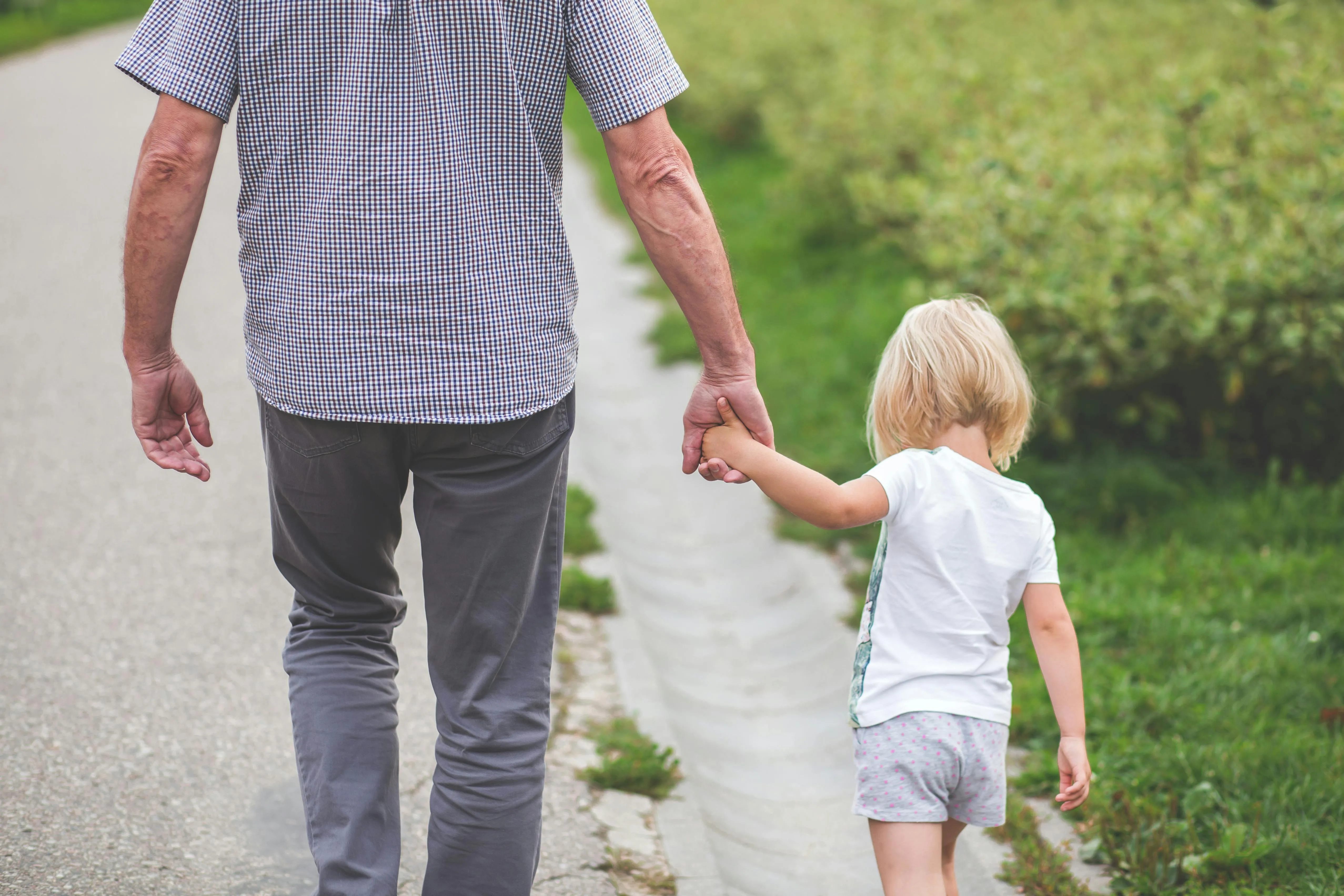 freestocks.org on Pexels