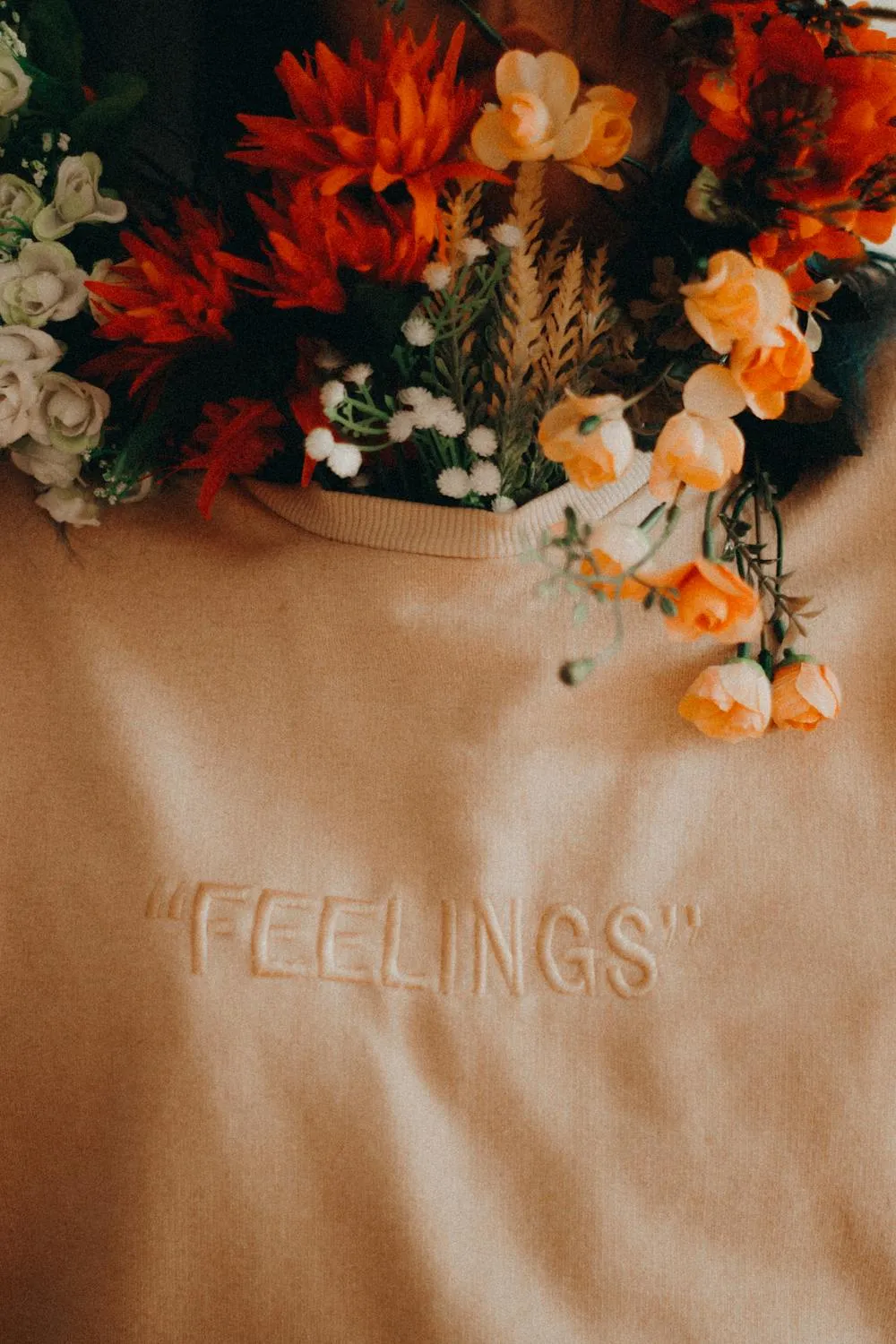  Evellyn Cardoso on Pexels