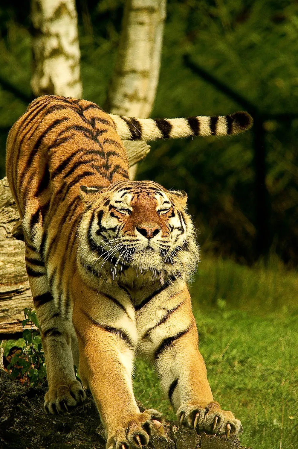 Richard Verbeek on Pexels