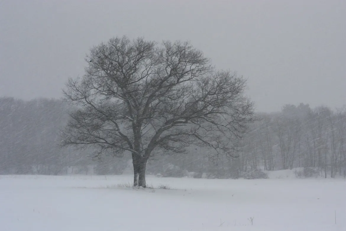 10 Cold-Weather Habits That Were Once Routine