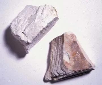 Image from Britannica
