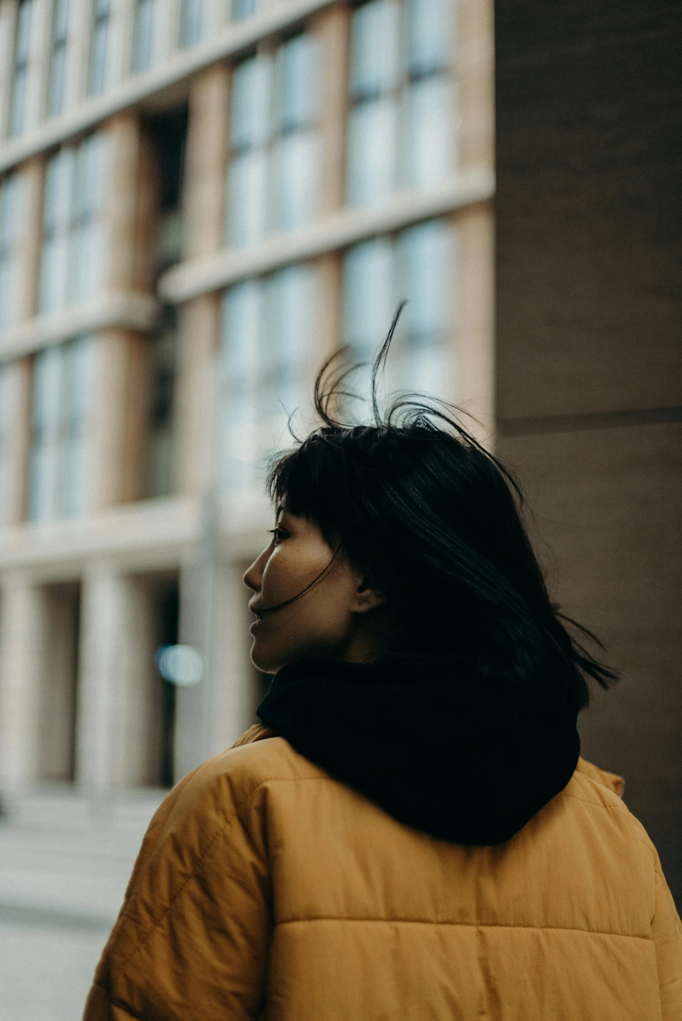 cottonbro studio on pexels