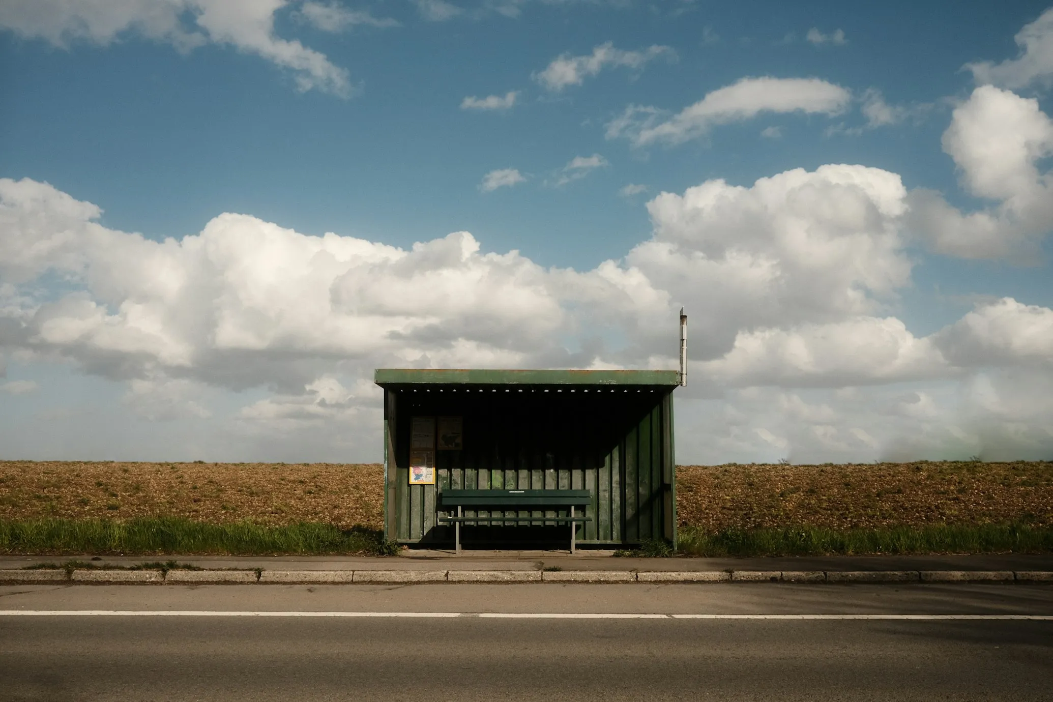  Marius Matuschzik from Unsplash