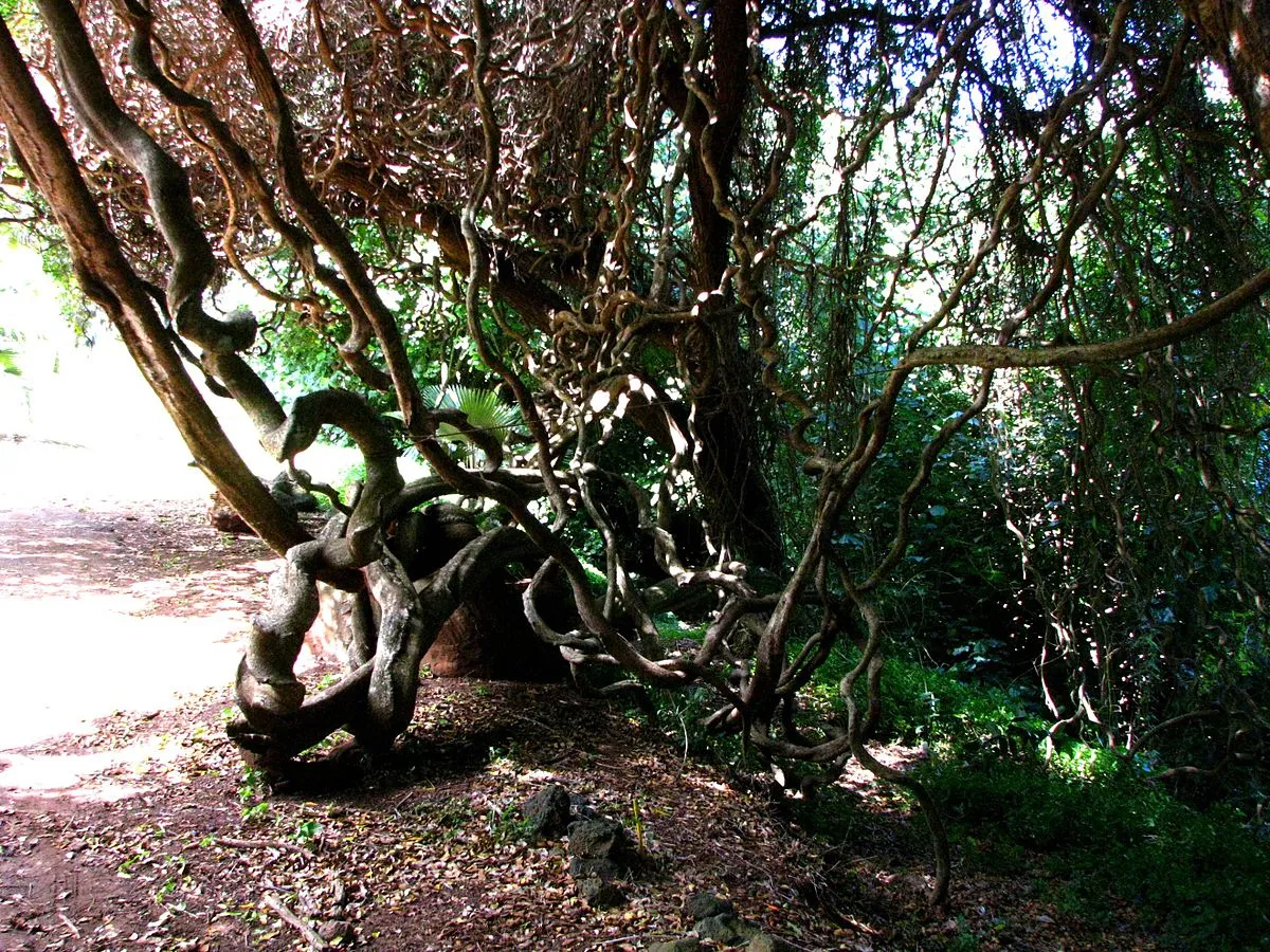 Tim1357 on Wikimedia Commons