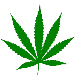 Image from Wikipedia