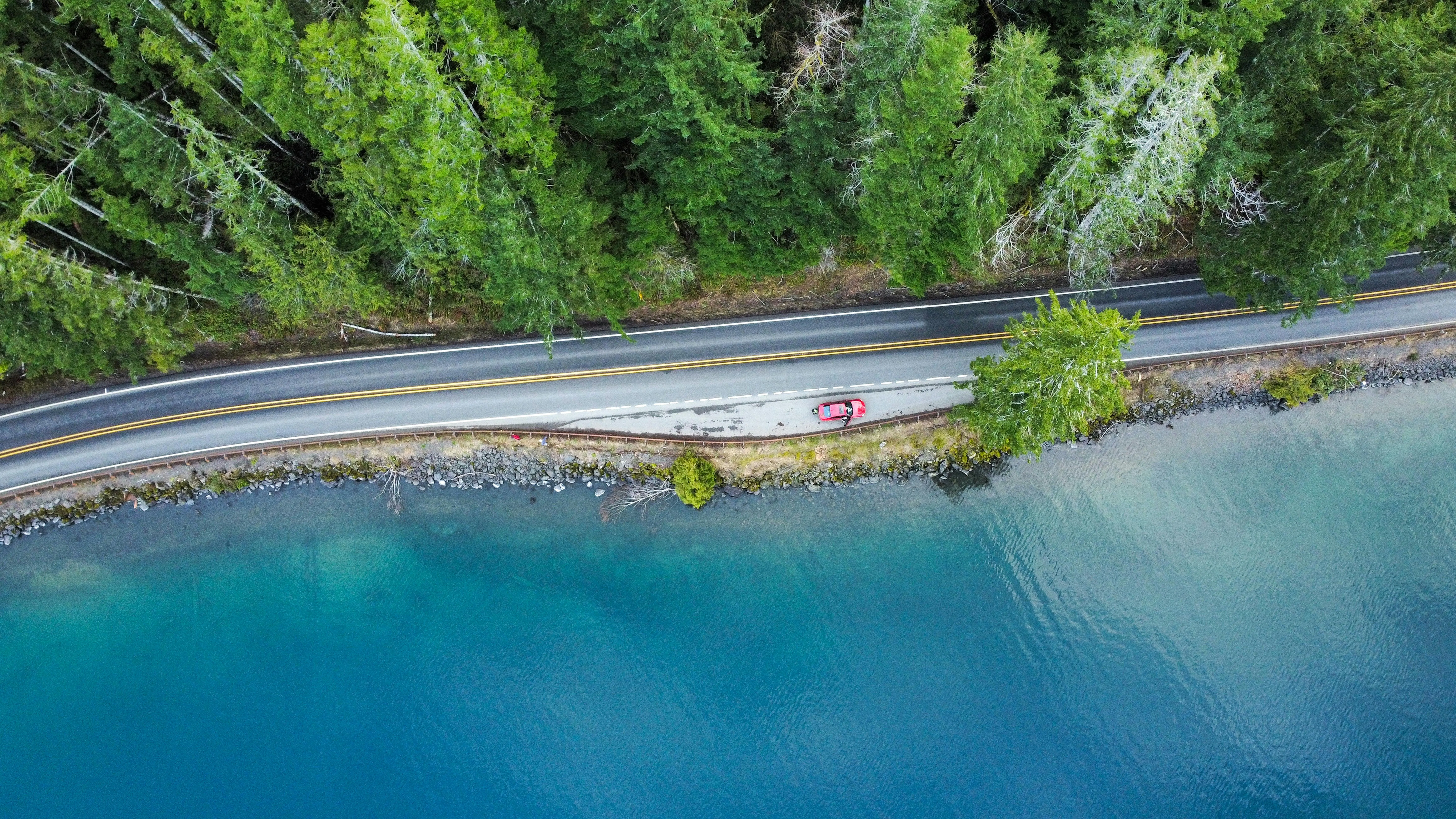 wetpainthtx on pexels