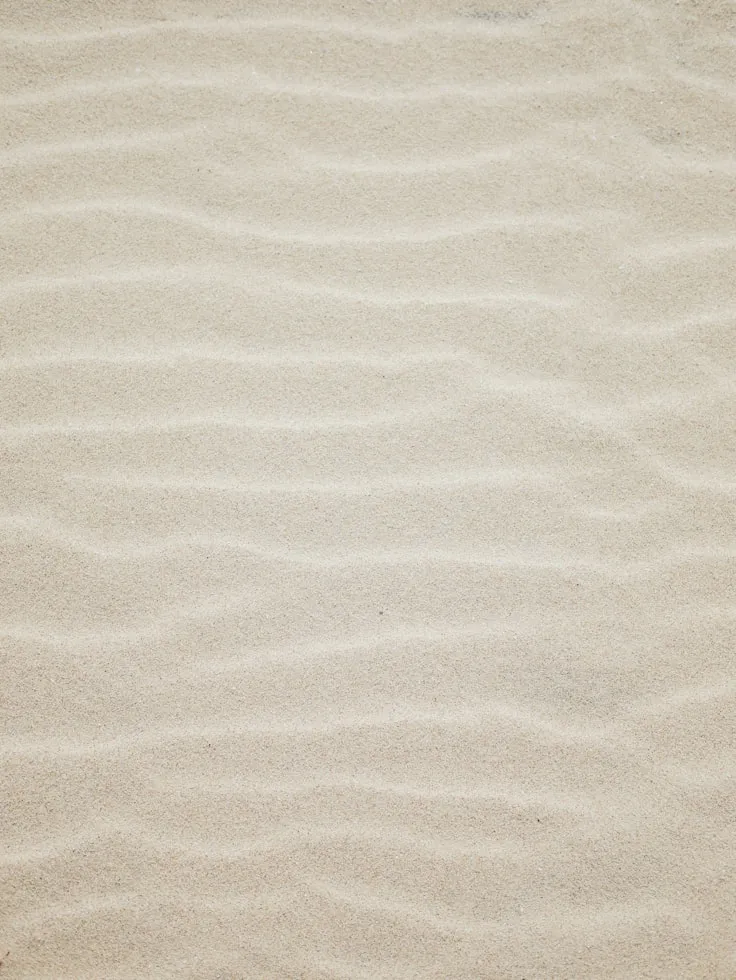 Dongsh from Unsplash