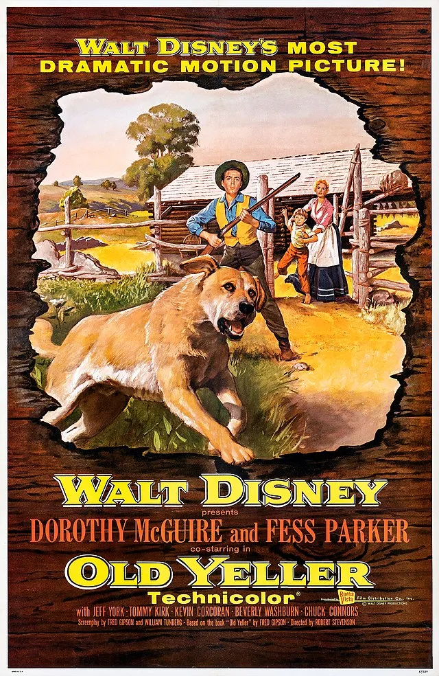 “Distributed by Buena Vista Distribution Co., Inc. © Walt Disney Productions.” on Pexels 