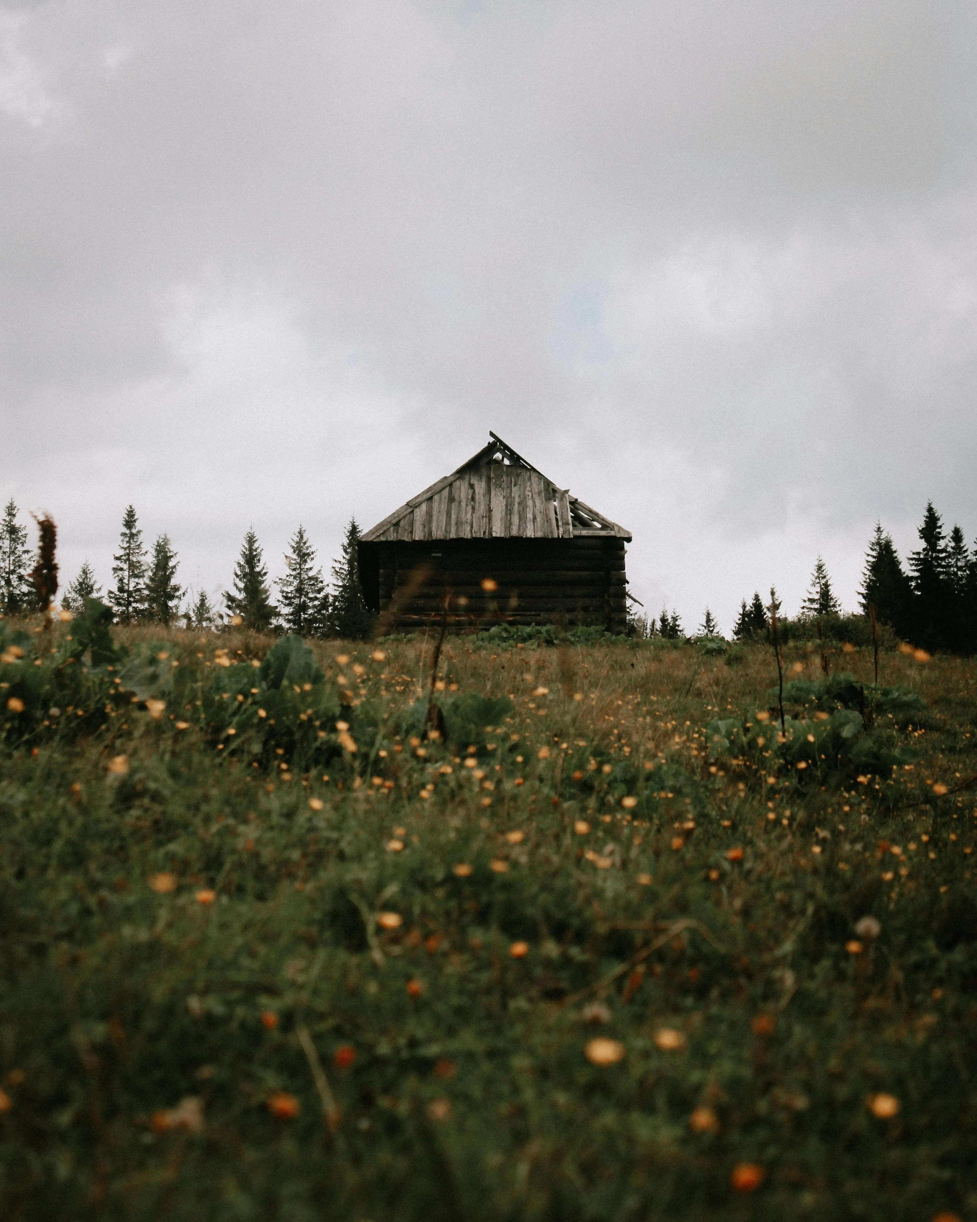 Taras Kots on Pexels