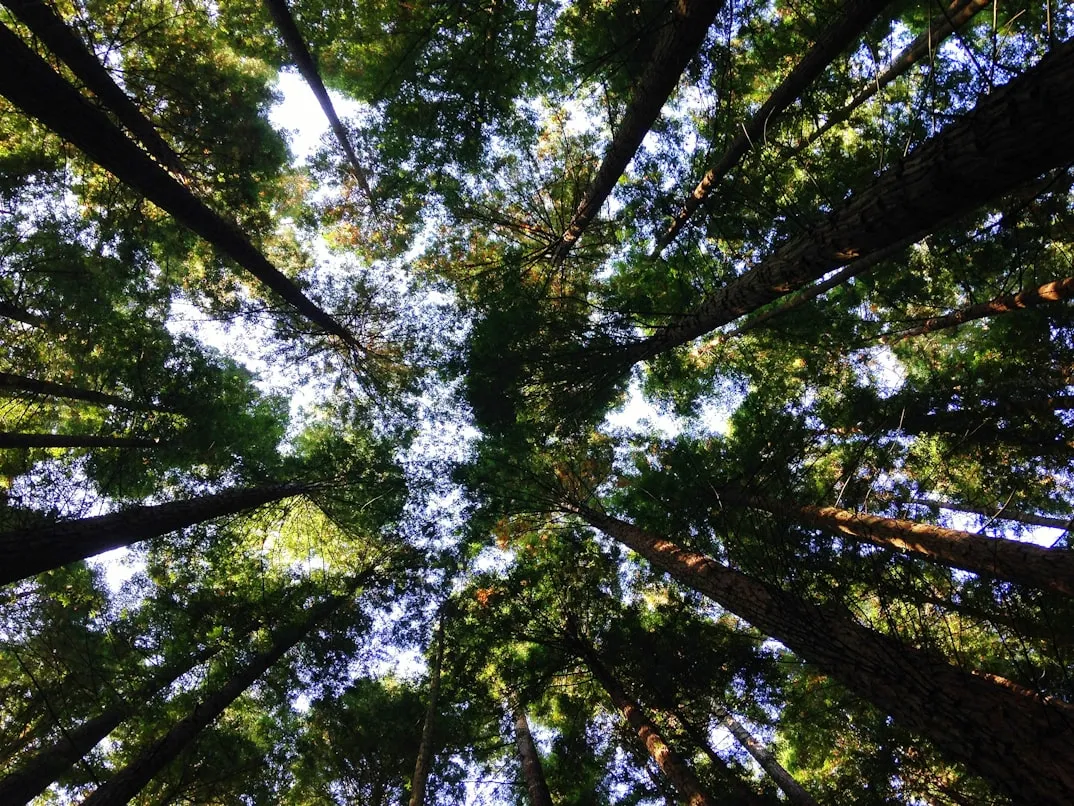 18 Environmental Clues Scientists Use to Study History