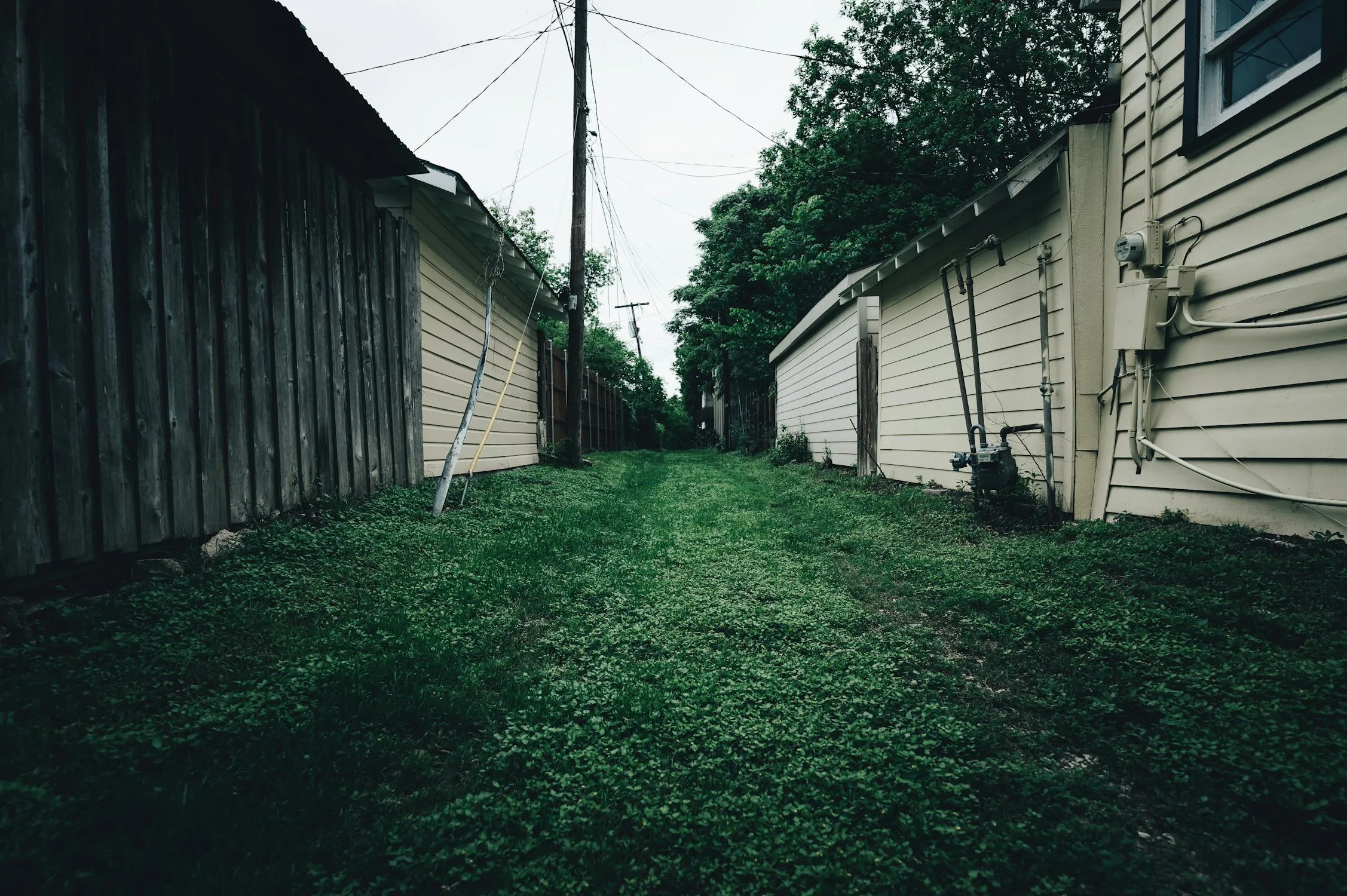 Alfo Medeiros on Pexels
