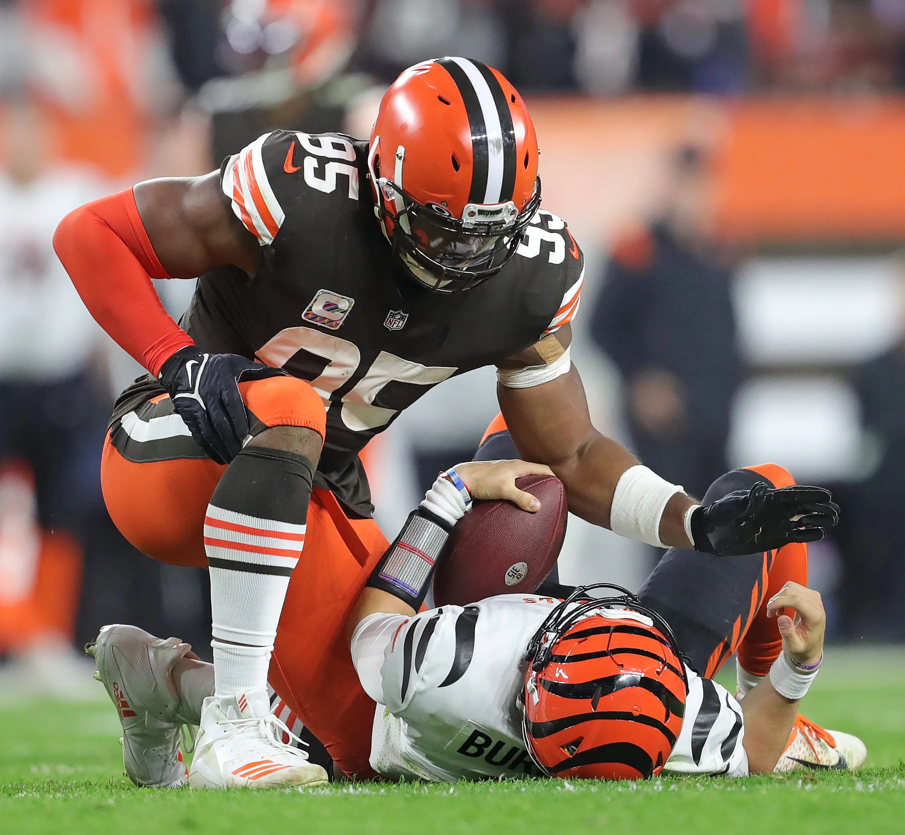 Jeff Lange / USA TODAY NETWORK via Imagn Images