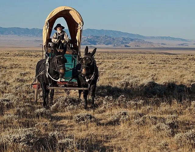 Bureau of Land Management on Wikimedia Commons