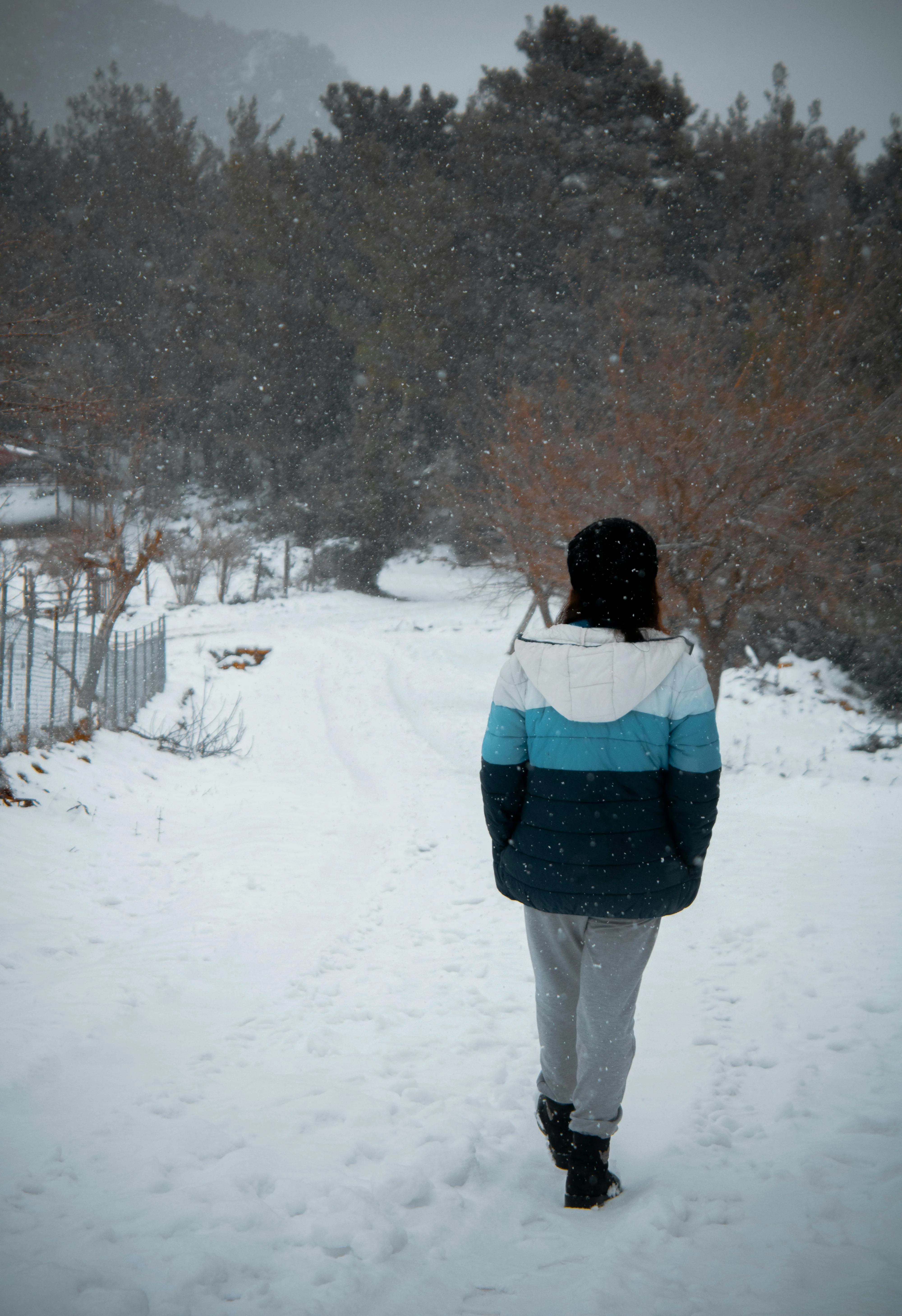 UMUT DAĞLI on Pexels