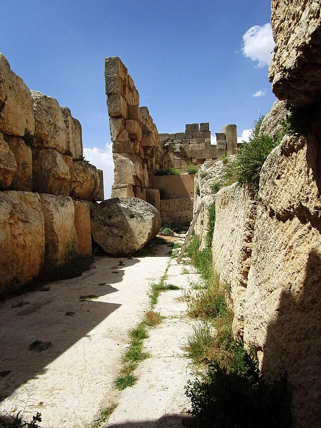 Lodo27 from Moscow, Russia on Wikimedia Commons