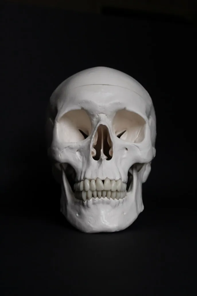 Anne Nygård on Unsplash