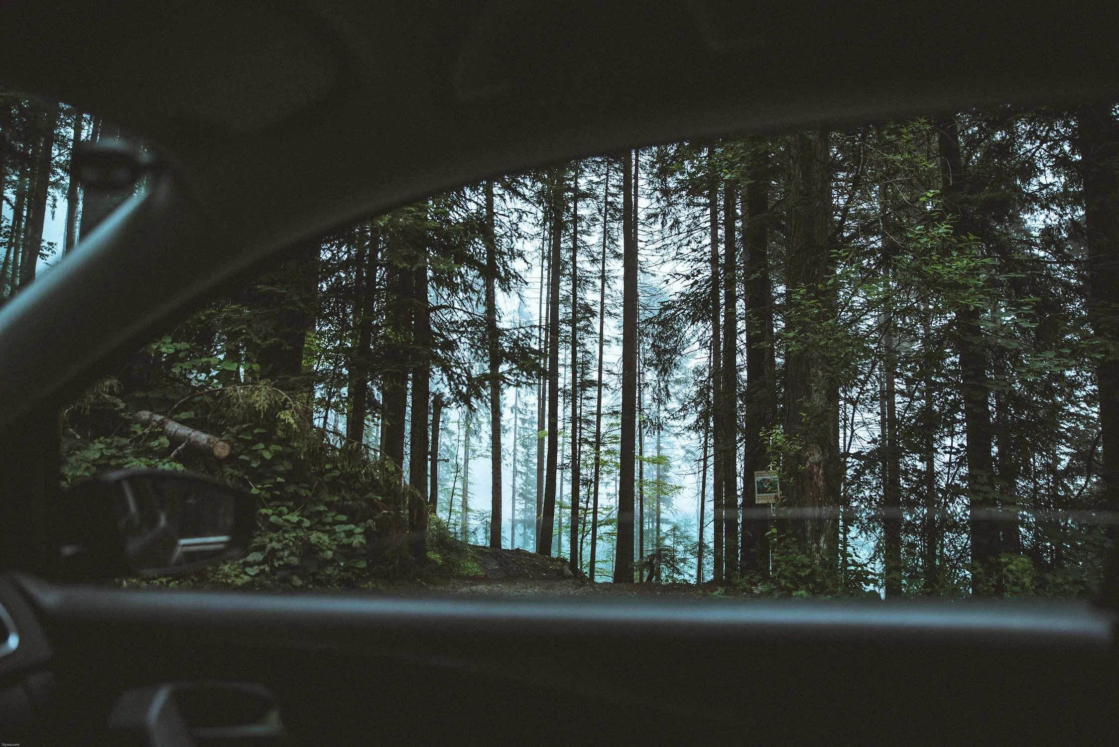 Stephan Seeber on Pexels