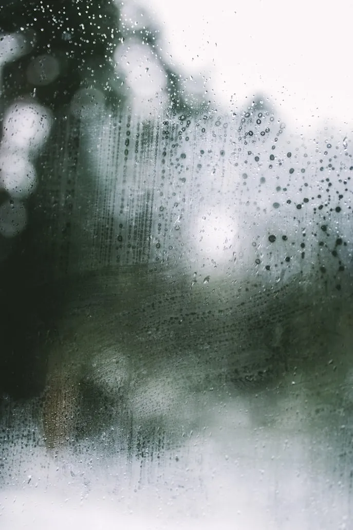 Cole Keister from Unsplash