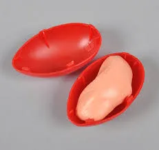 Image from Kids Discover Online 