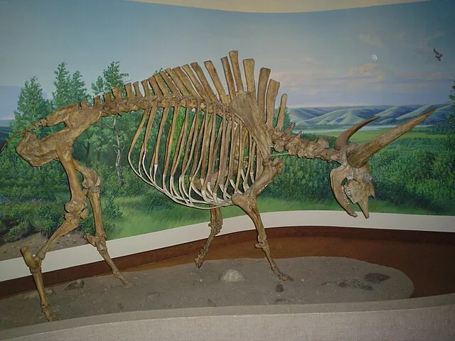 cdolivei on Wikimedia Commons