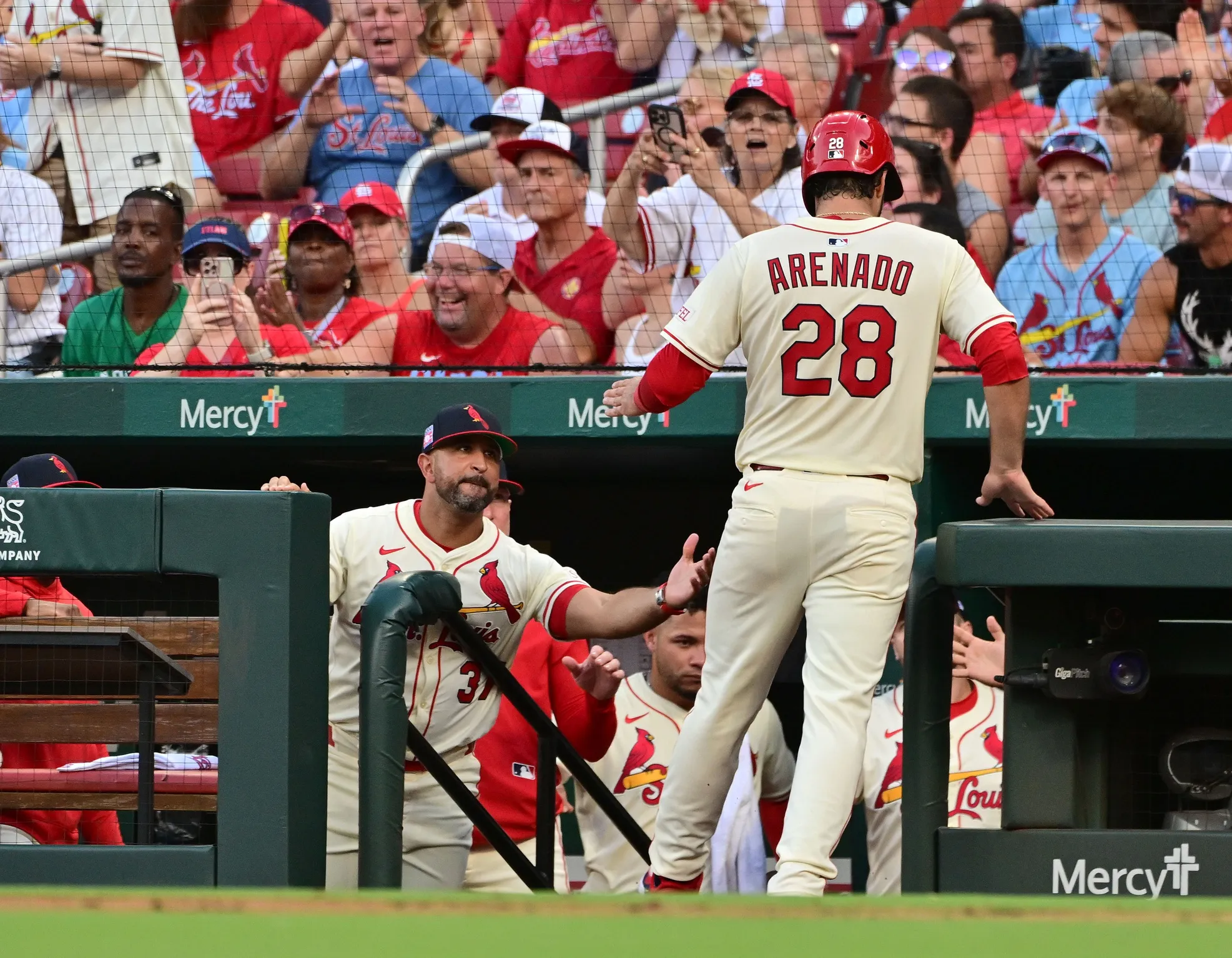 Nolan Arenado to Represent Puerto Rico in 2026 World Baseball Classic