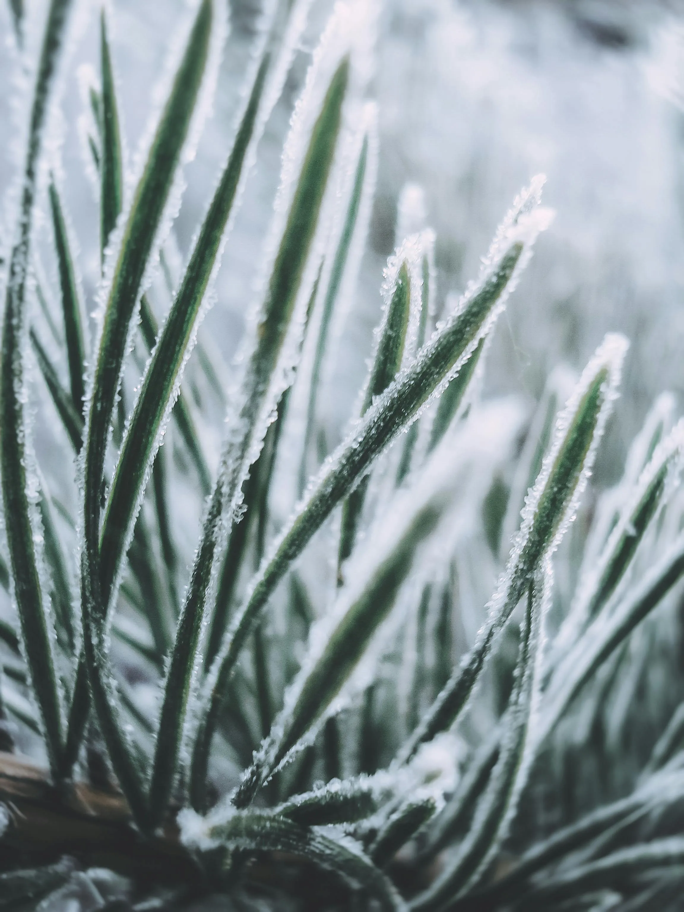 Eugene Golovesov on Pexels