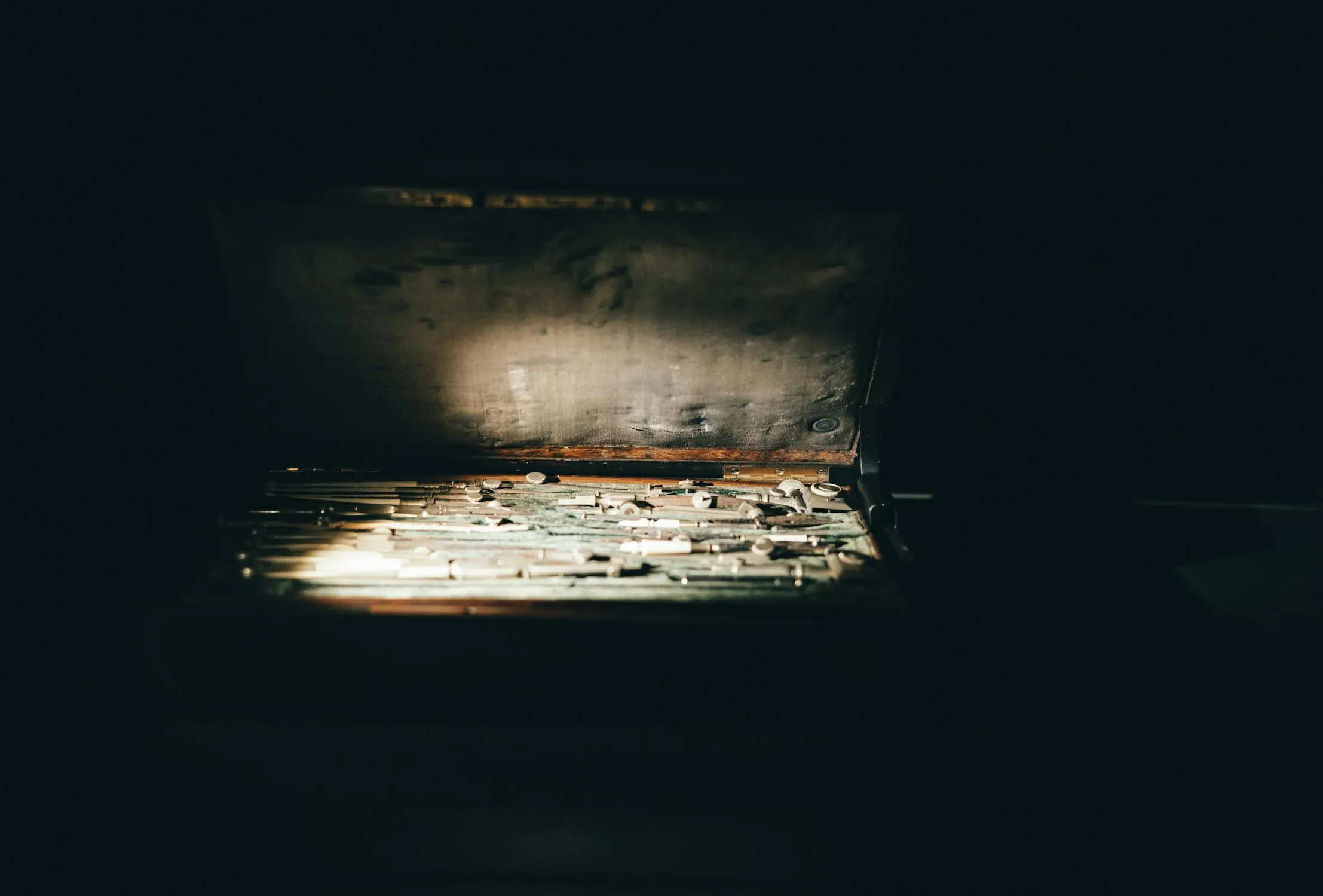 Lokman Sevim on Pexels