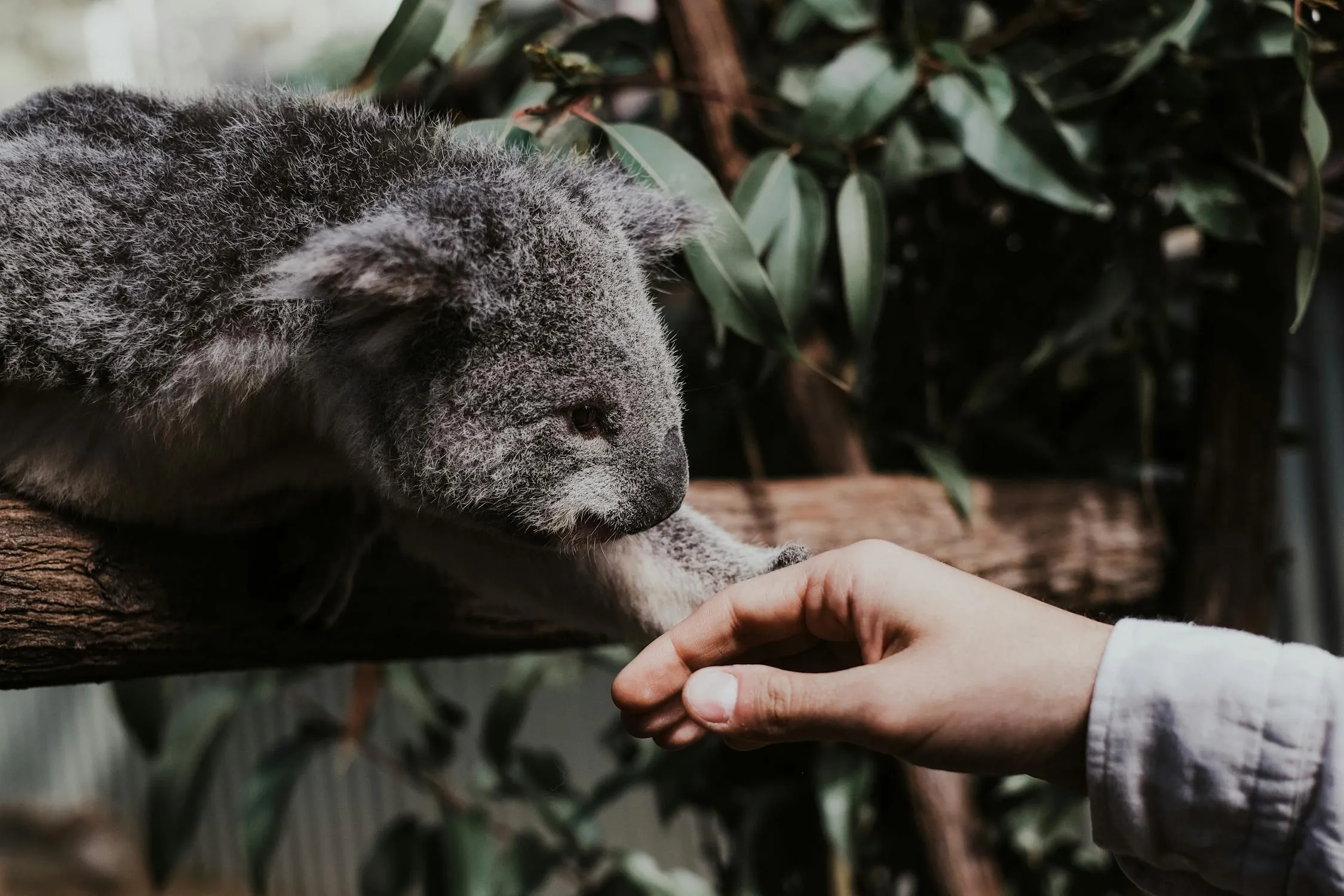 Valeriia Miller on Pexels