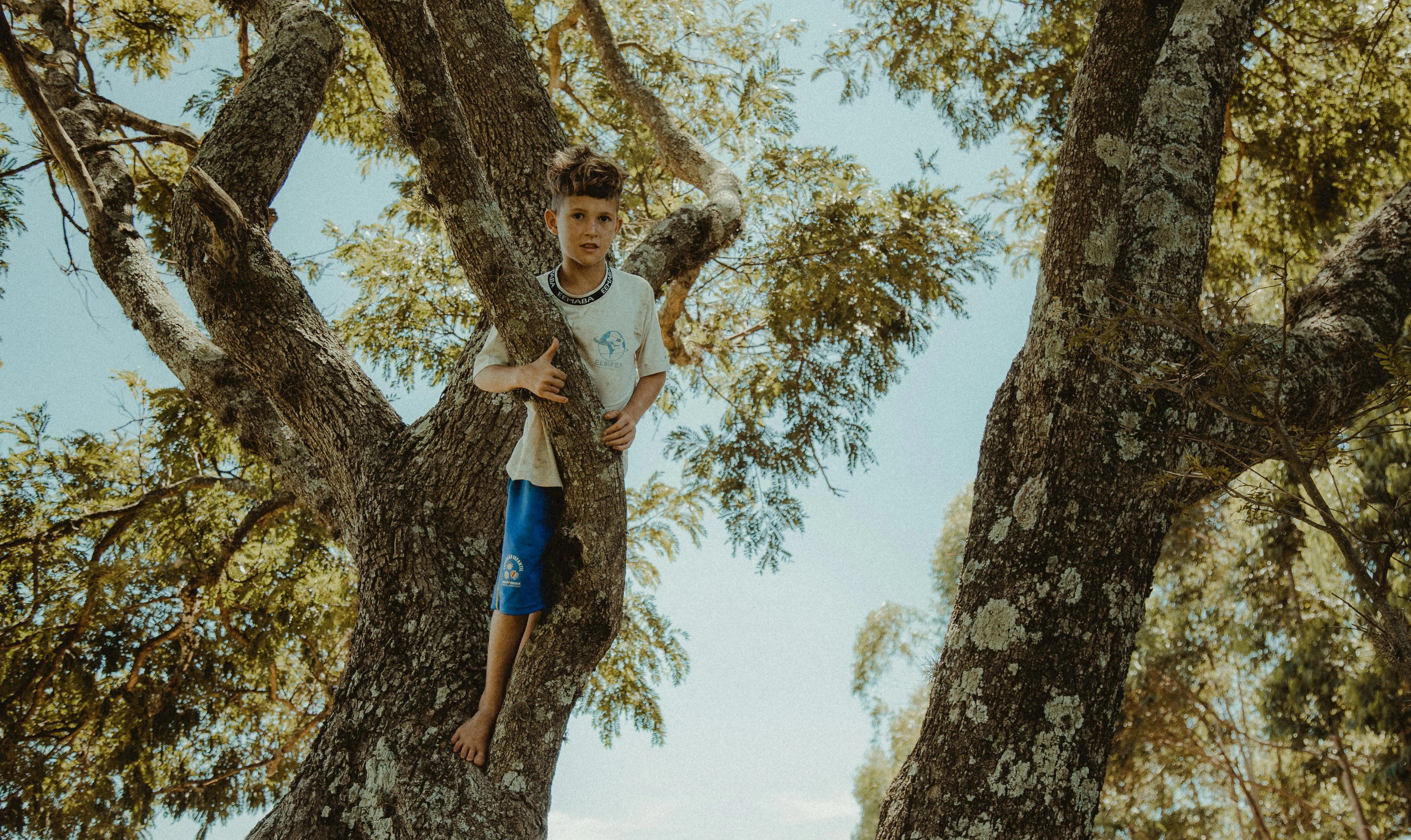 Matheus Bertelli on Pexels