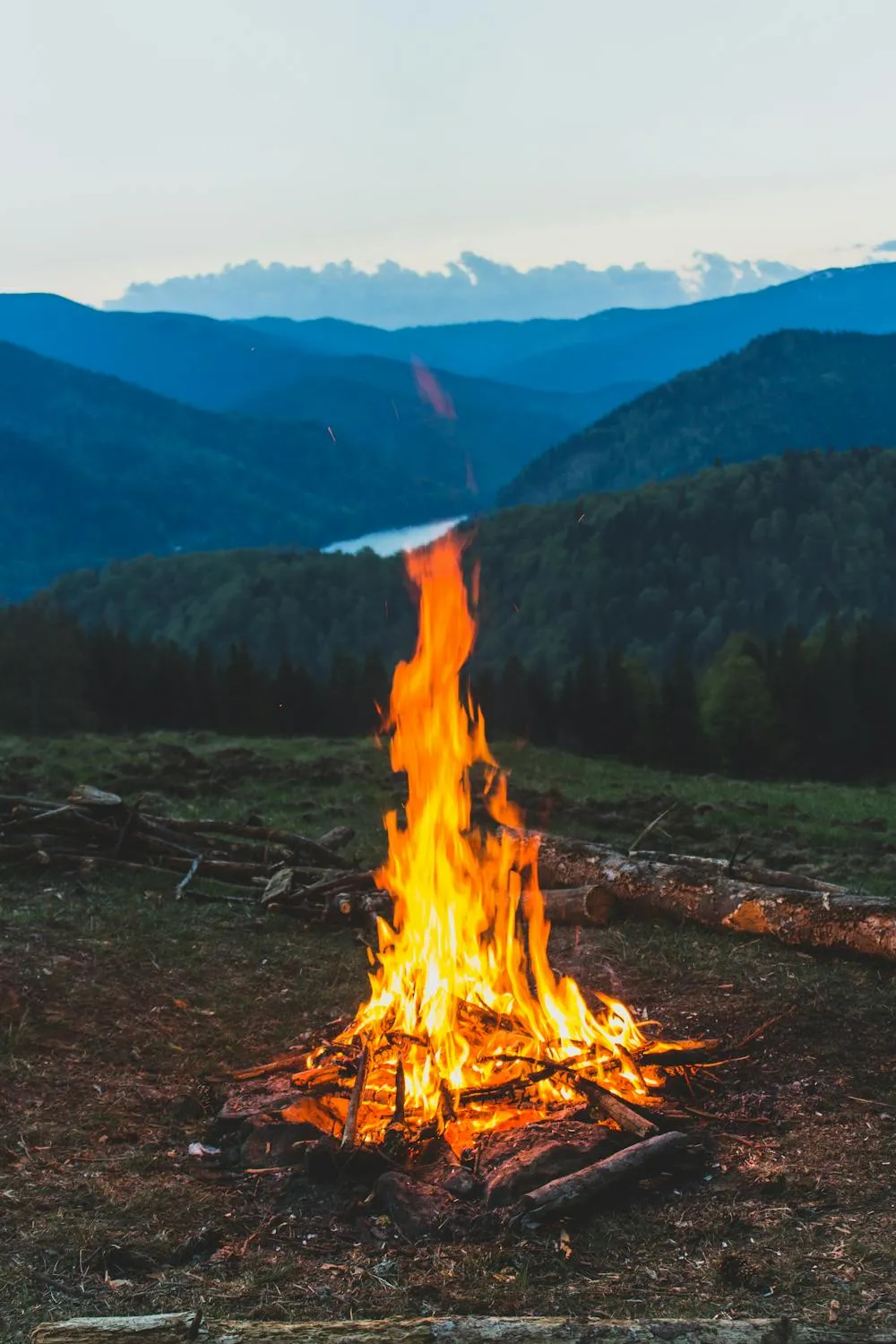 Vlad Bagacian on Pexels 
