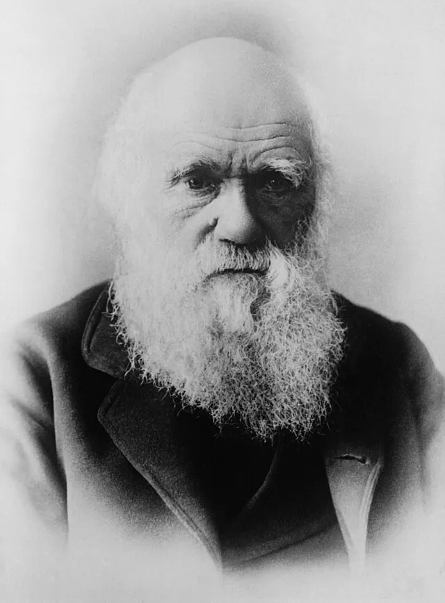 Elliott & Fry on Wikimedia Commons